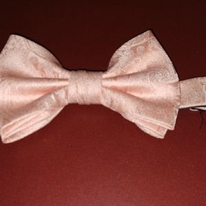 💣 APT 9 Bowtie